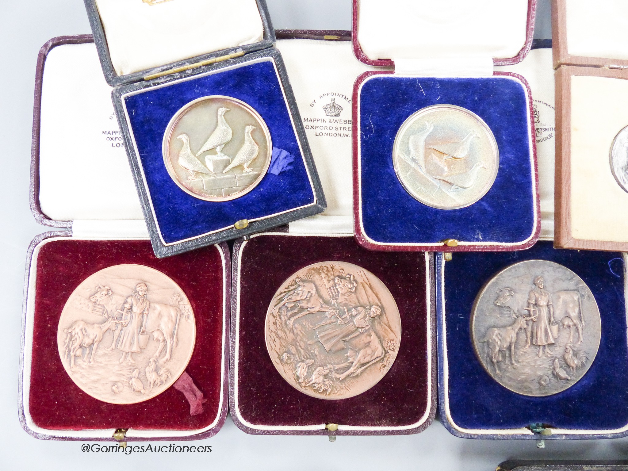 A collection of Dragoon Pigeon-related and other medals
